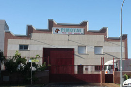 Vega Piel