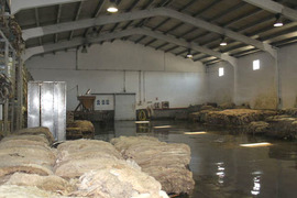 Vega Piel