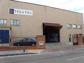 Vega Piel Vega Piel