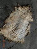 Oveja/Sheepskin