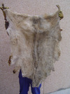 Vega Piel