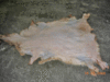 Cordero Napa Entrefino�Salados / Wet�Salted Lambskin Nappa Merino