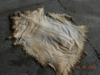 Cordero Napa Basto Salados / Wet�Salted��Lambskin Nappa� Basto